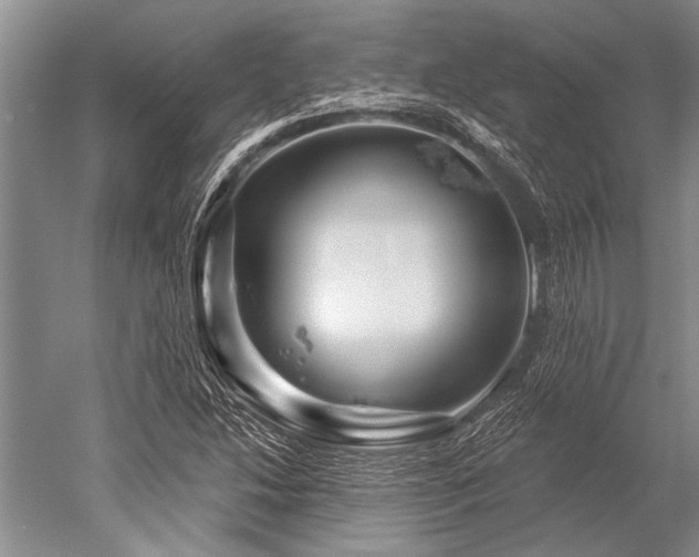 X0000052591214200507081745