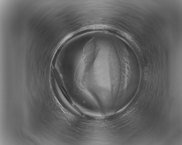 X0000052591229200507081745