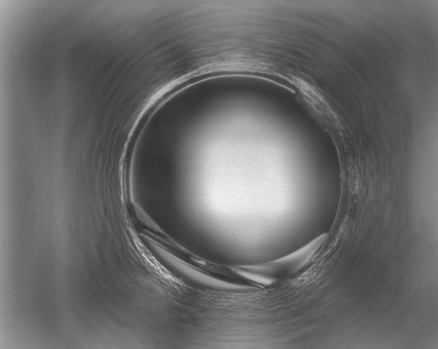 X0000052591238200507081746