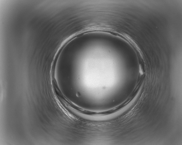 X0000052591246200507081746