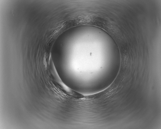 X0000052591250200507081745