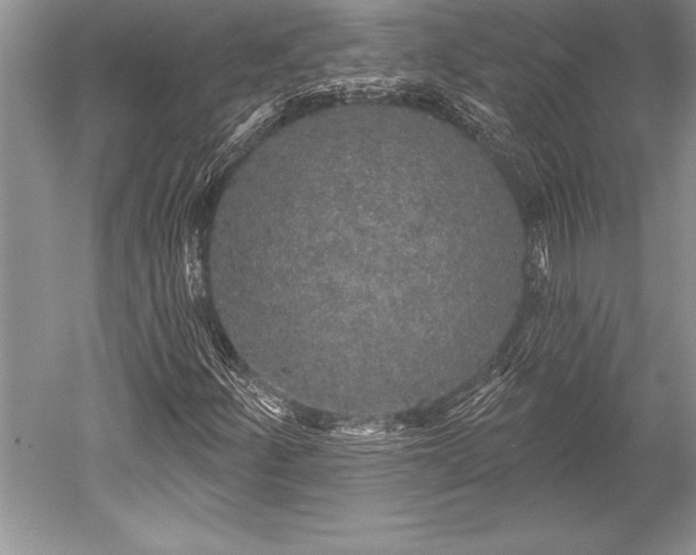 X0000052591252200507081745