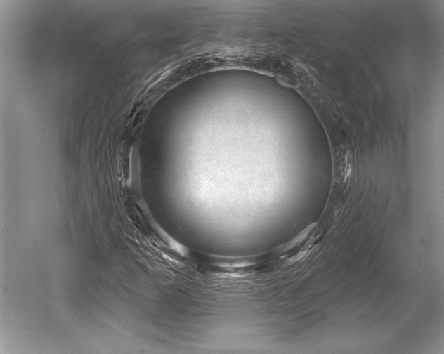 X0000052591253200507081745
