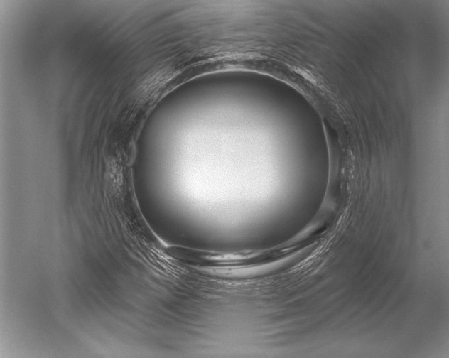 X0000052591257200507081745