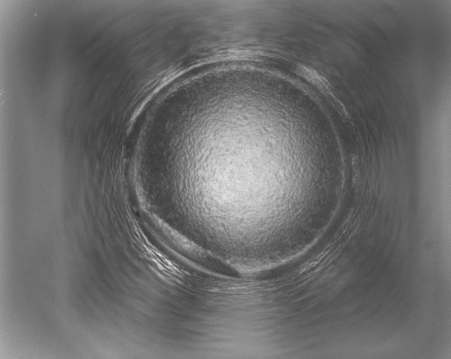 X0000052591260200507081745