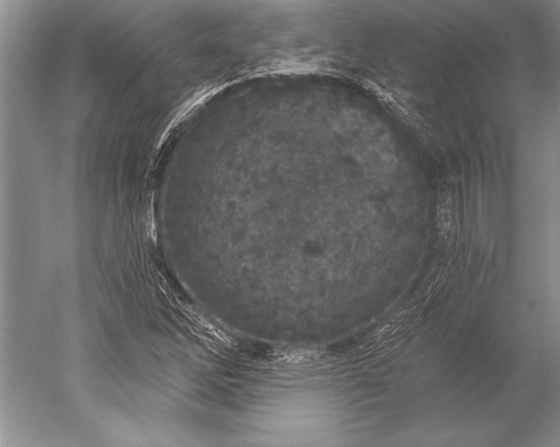 X0000052591262200507081745