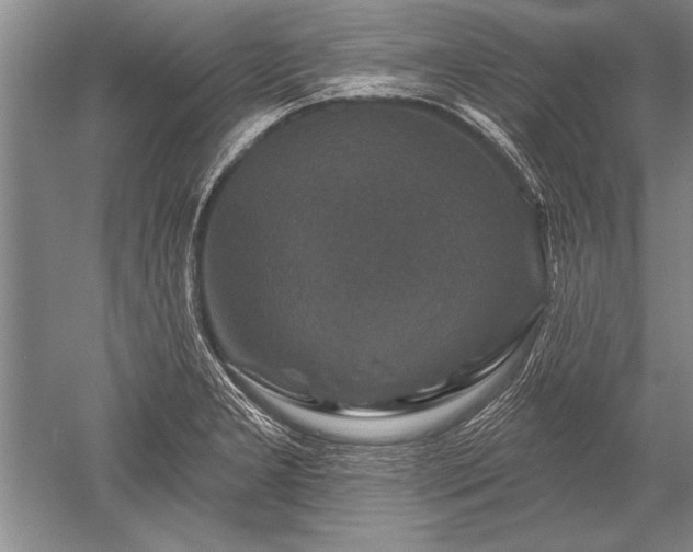 X0000052591277200507081744