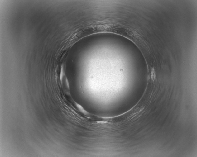 X0000052591299200507081743