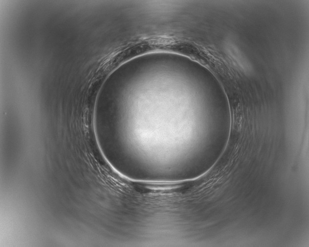 X0000052591301200507081743