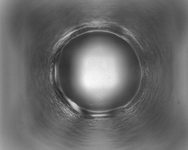 X0000052591304200507081743