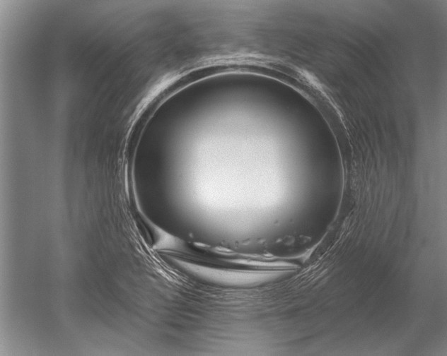 X0000052591320200507081744