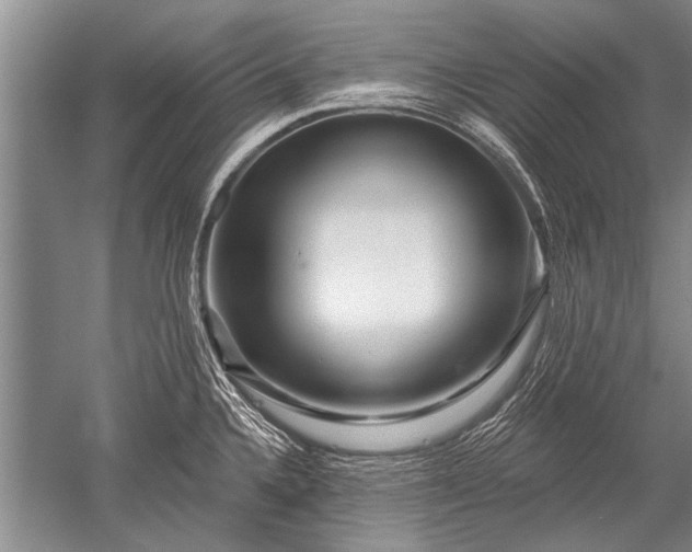 X0000052591336200507081744