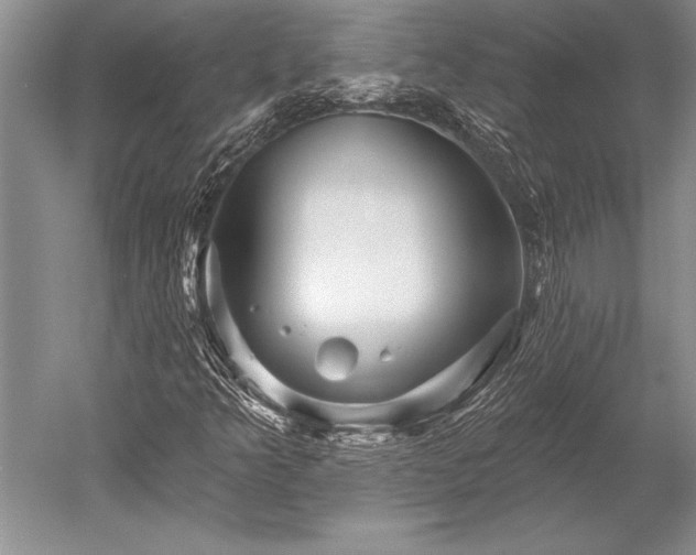X0000052591349200507081743