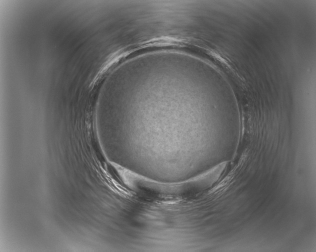 X0000052591355200507081743