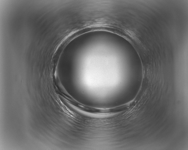 X0000052591356200507081743