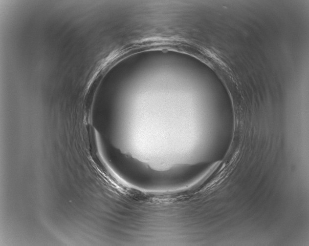 X0000052591357200507081743