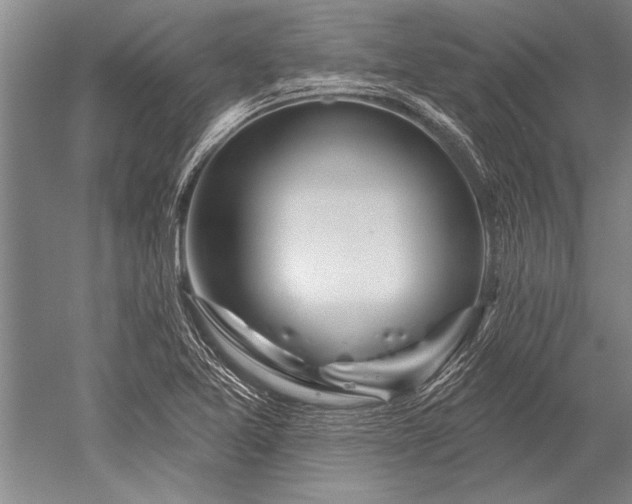X0000052591365200507081743
