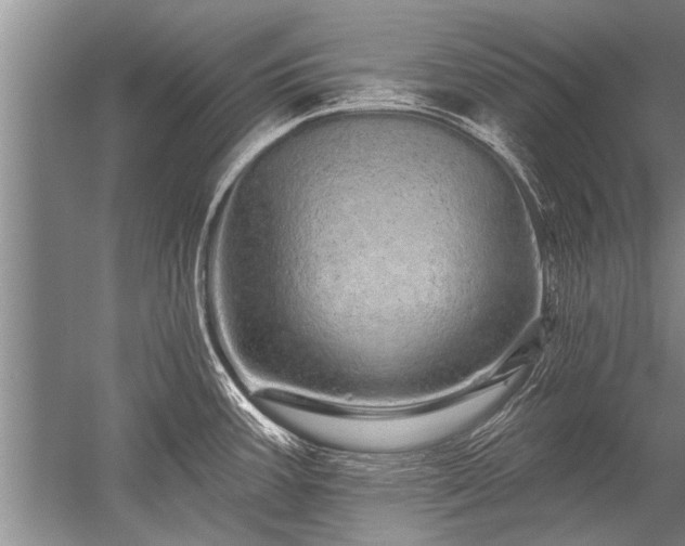 X0000052591387200507081743