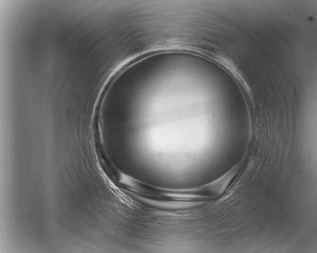 X0000052591388200507081743