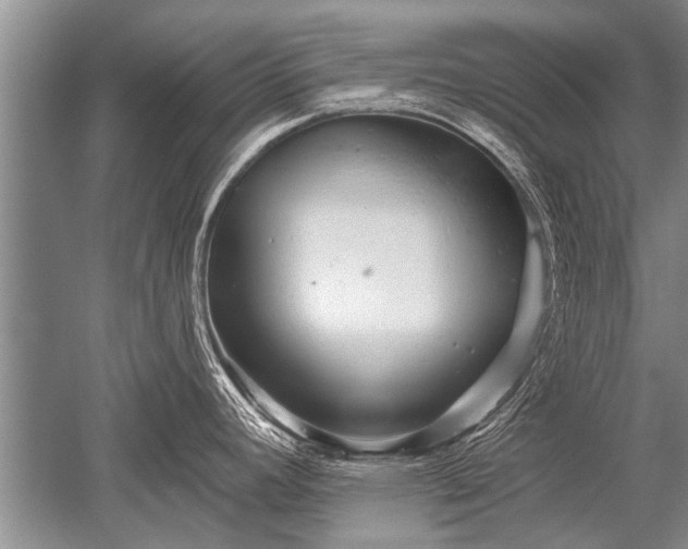 X0000052591392200507081742