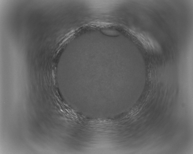 X0000052591397200507081742