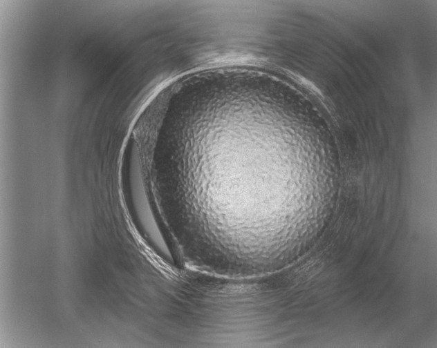 X0000052591423200507081742