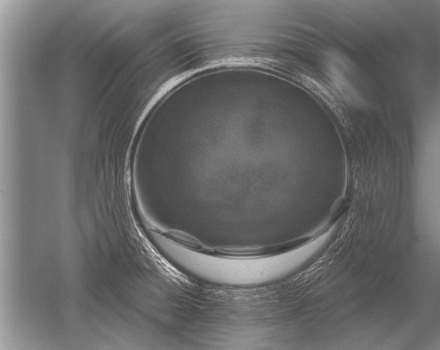 X0000052591428200507081742