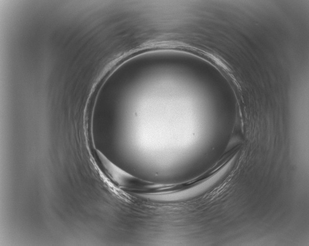 X0000052591430200507081742