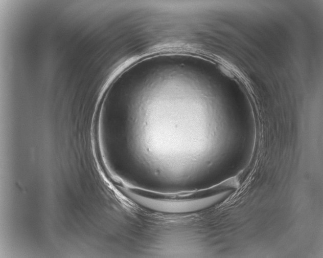 X0000052591440200507081742