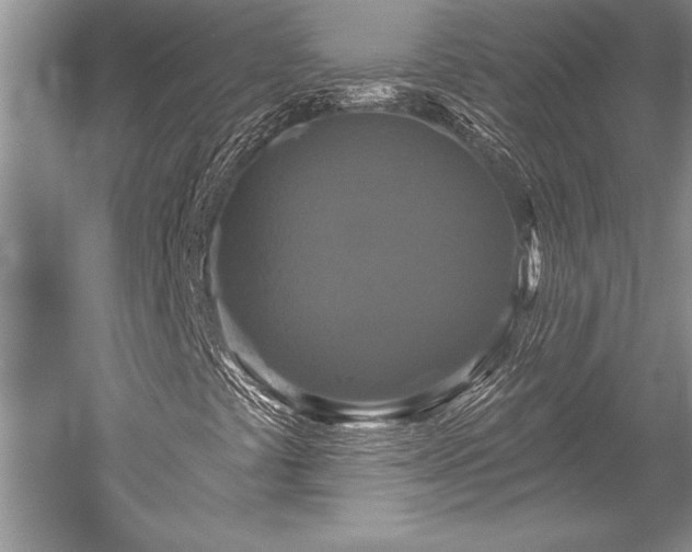 X0000052591441200507081742