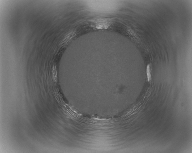 X0000052591443200507081742