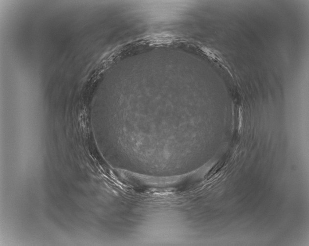 X0000052591445200507081742