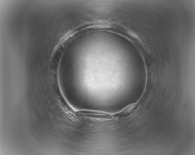 X0000052591448200507081742