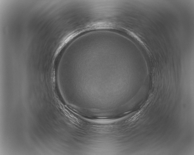 X0000052591461200507081741