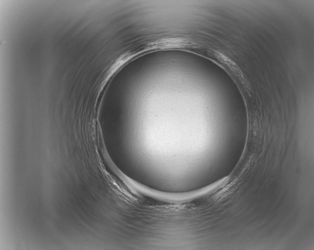 X0000052591473200507081741