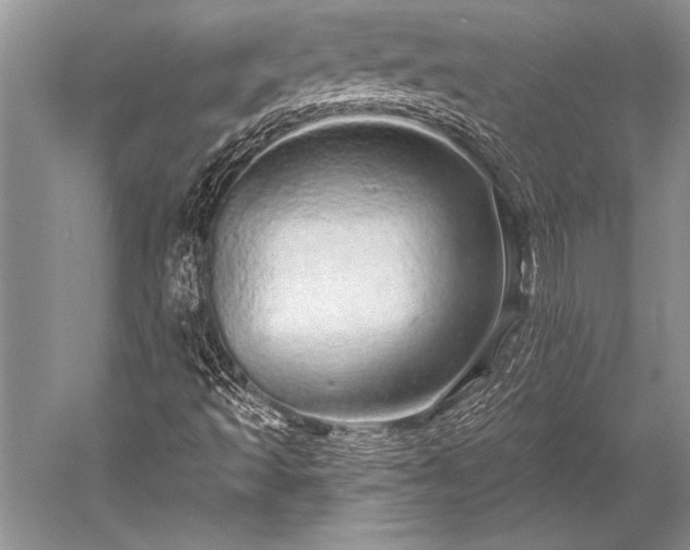 X0000052591493200507081740