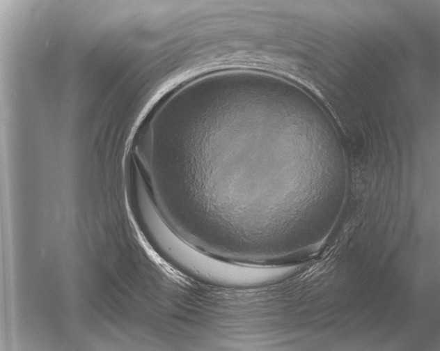 X0000052591515200507081740