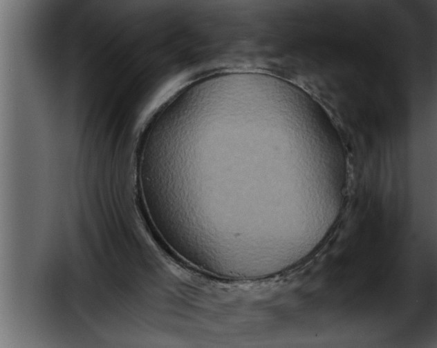 X0000052590005200507152357