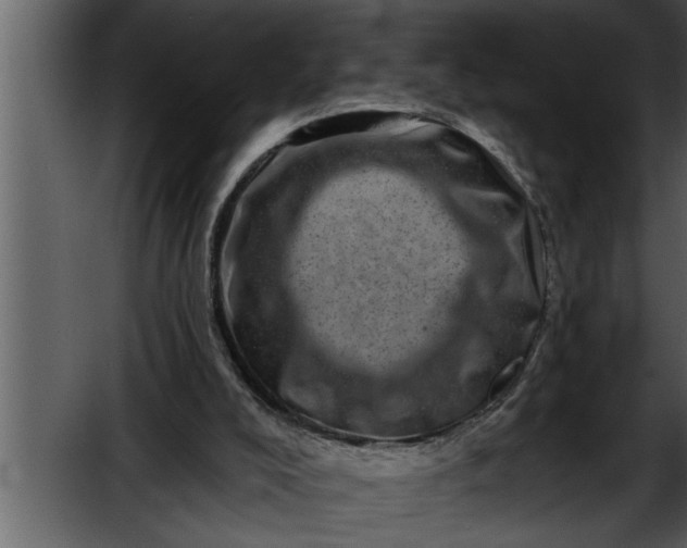 X0000052590008200507152357