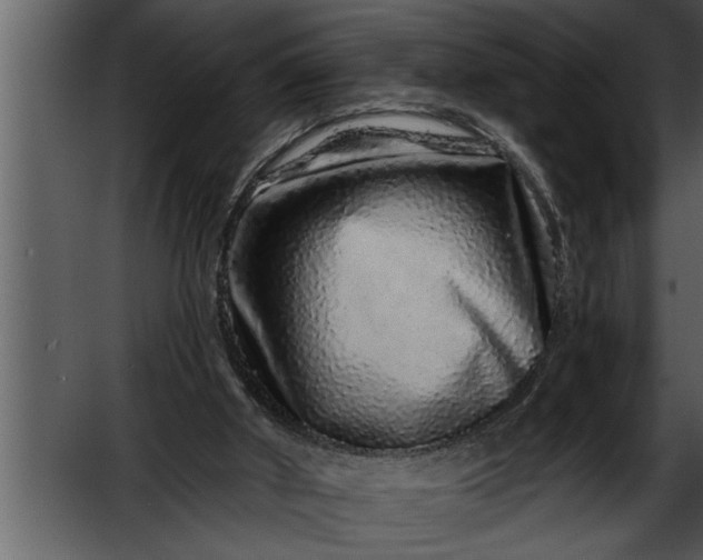 X0000052590010200507152357