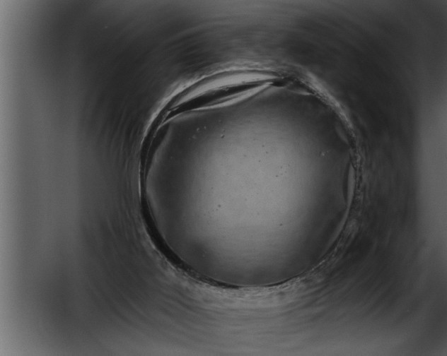 X0000052590011200507152357