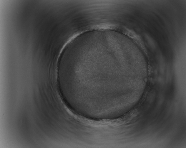 X0000052590012200507152357