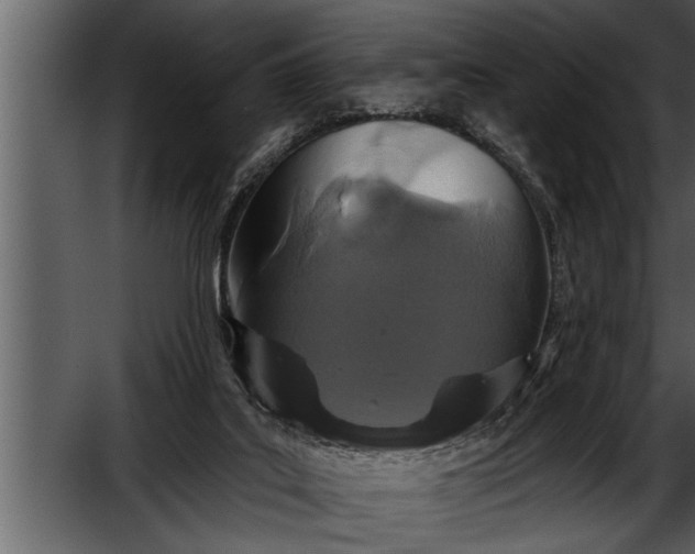 X0000052590019200507152356