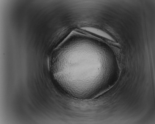 X0000052590022200507152356