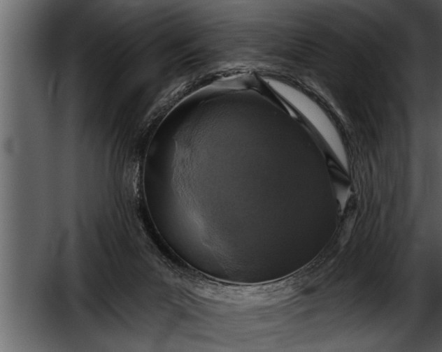 X0000052590023200507152356