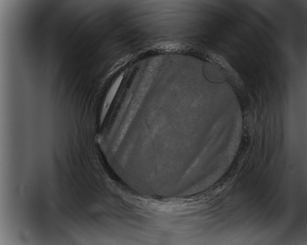 X0000052590024200507152356