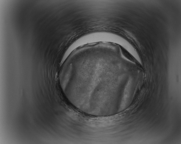 X0000052590025200507152356