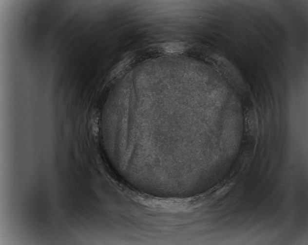 X0000052590032200507152356
