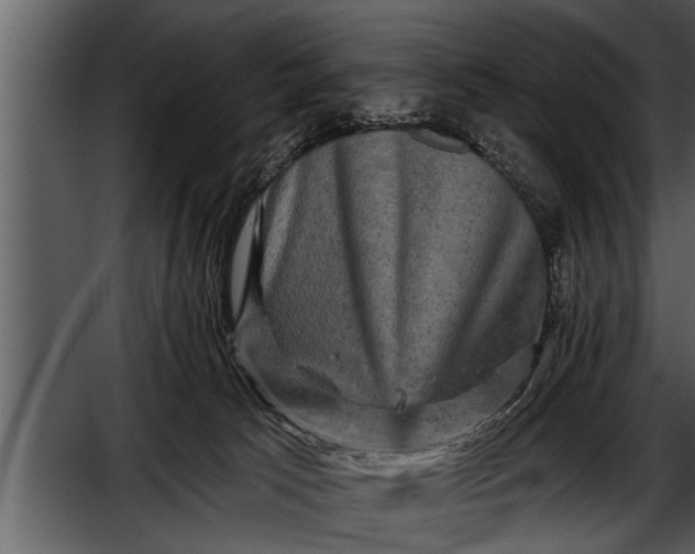 X0000052590033200507152356