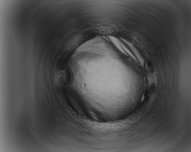 X0000052590034200507152356